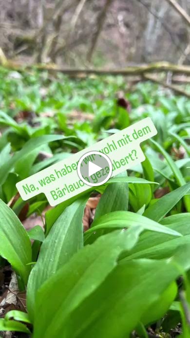 Landgasthof Burgerstuble - Melanie Molzner-2